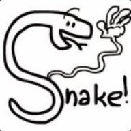 Bsnake