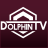 dolphinTV